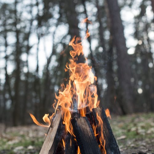 low-angle-bonfire-with-flames